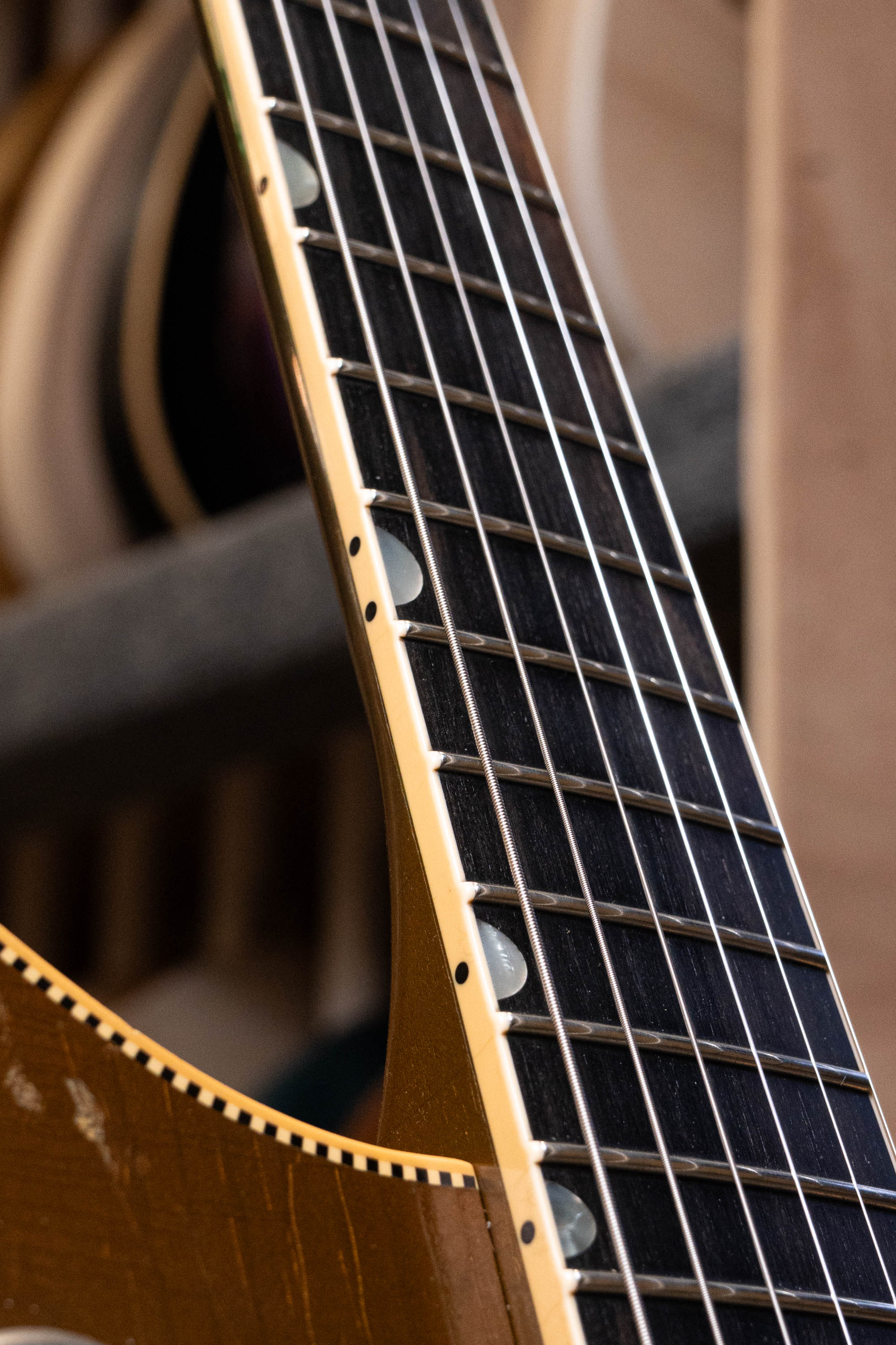 MIRIS J - Gold Top Gold | Signature (3 of 4) - Image 7